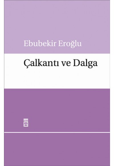 Çalkantı ve Dalga