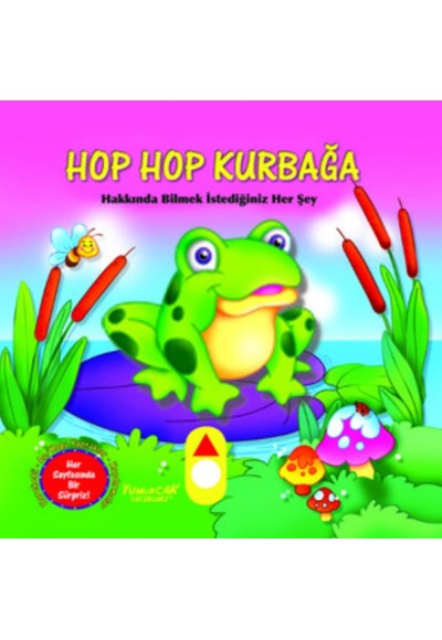 Hop Hop Kurbağa - Hareketli Kitap