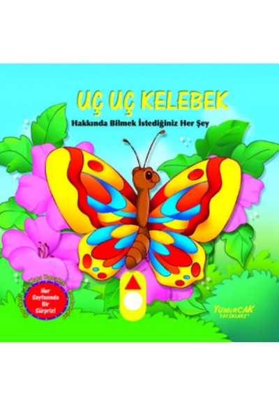 Uç Uç Kelebek - Hareketli Kitap