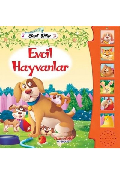 Evcil Hayvanlar - Sesli Kitap