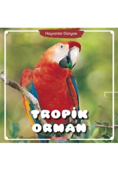 Tropik Orman - Hayvanlar Dünyası