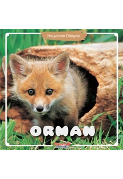 Orman - Hayvanlar Dünyası