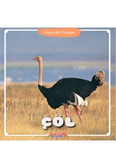 Çöl - Hayvanlar Dünyası