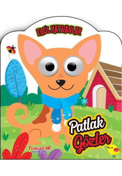 Patlak Gözler - Evcil Hayvanlar