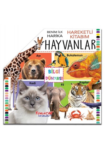 Benim İlk Hareketli Kitabım Hayvanlar