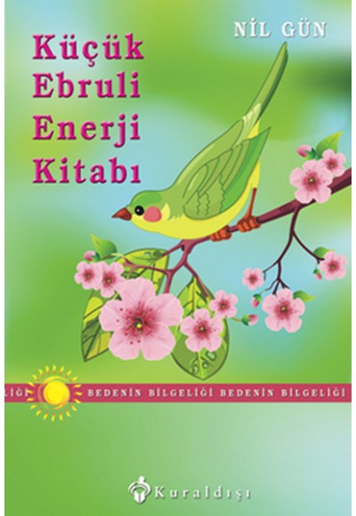 Küçük Ebruli Enerji Kitabı