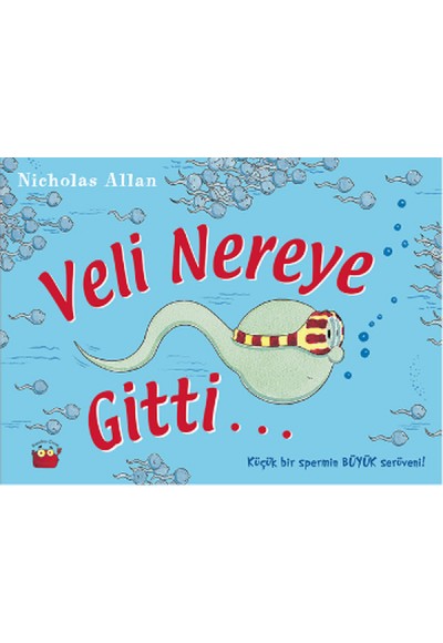 Veli Nereye Gitti...