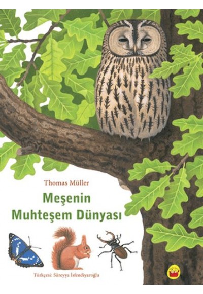 Meşenin Muhteşem Dünyası