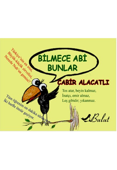 Bilmece Abi Bunlar