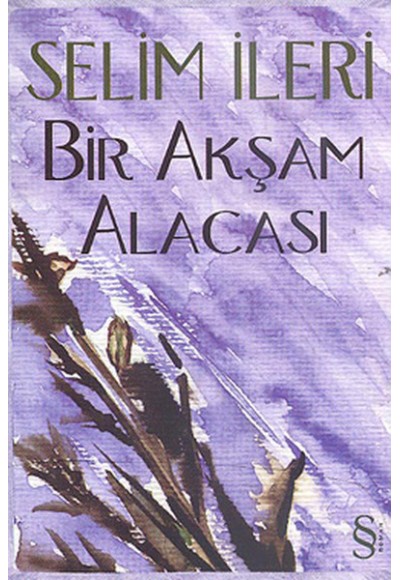 Bir Akşam Alacası