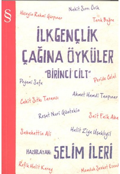 İlkgençlik Çağına Öyküler - 1. Cilt