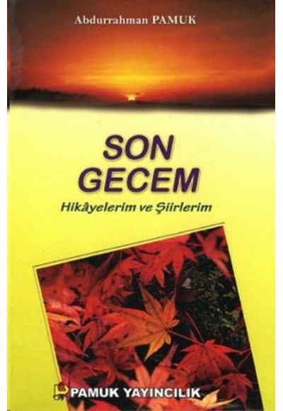 Son Gecem - Hikayelerim ve Şiirlerim