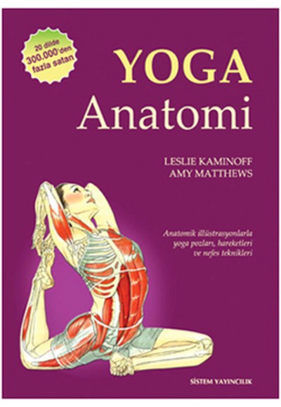 Yoga Anatomi