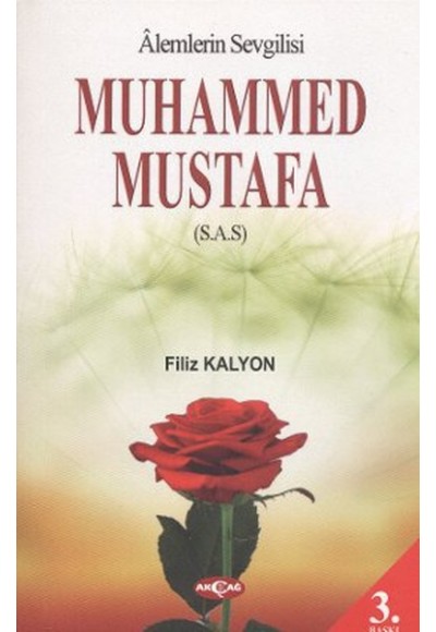 Mevlana ve Mesnevi Gerçeği