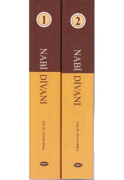 Nabi Divanı (2 Kitap Takım)