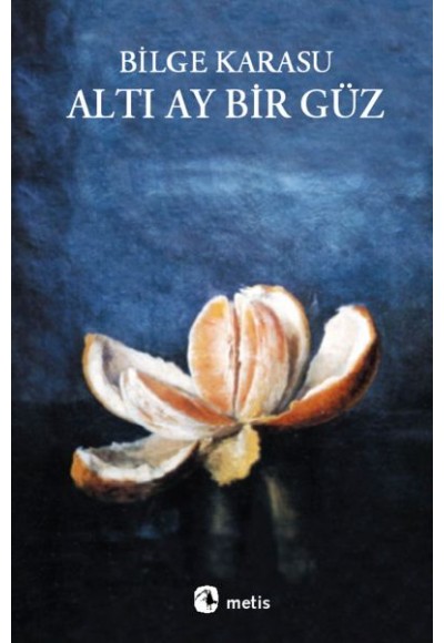 Altı Ay Bir Güz