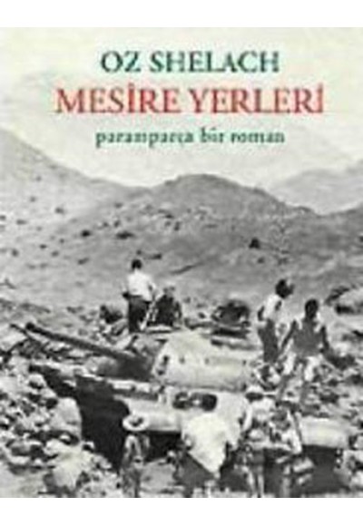 Mesire Yerleri / Paramparça Bir Roman
