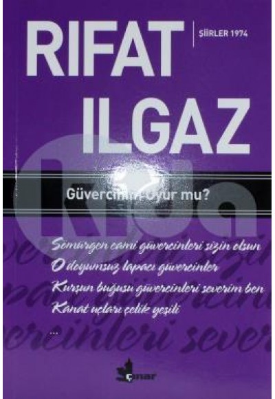 Güvercinim Uyur mu ?