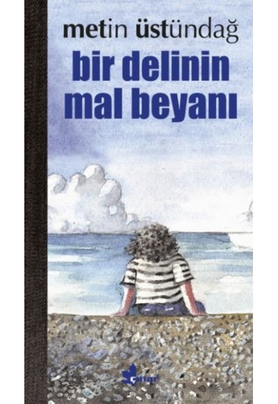 Bir Delinin Mal Beyanı