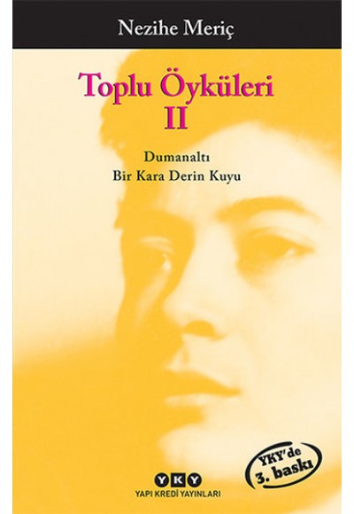 Toplu Öyküler 2 Nezihe Meriç