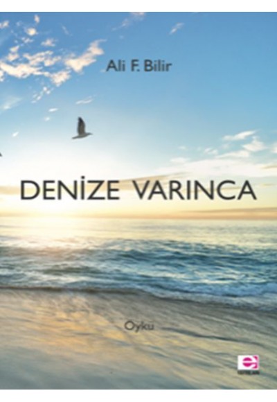 Denize Varınca