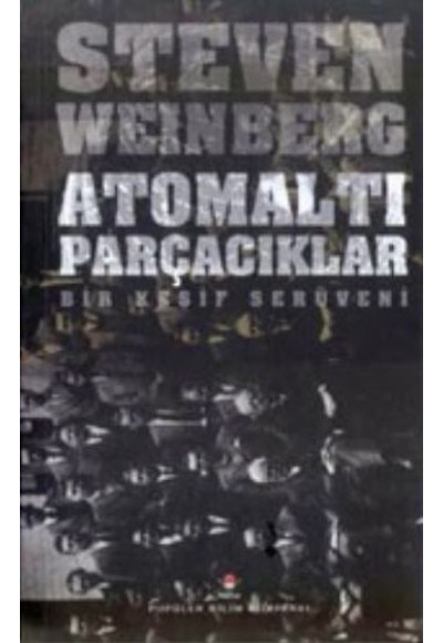 Atomaltı Parçacıklar - Bir Keşif Serüveni