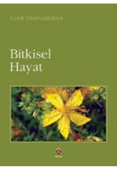 ,Bitkisel Hayat