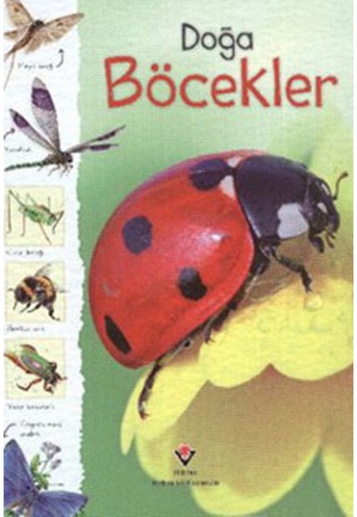 Doğa - Böcekler