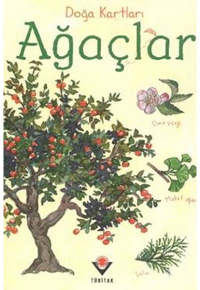 Doğa Kartları - Ağaçlar