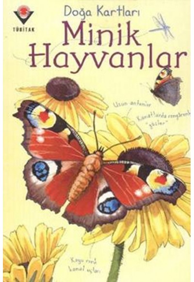 Doğa Kartları - Minik Hayvanlar