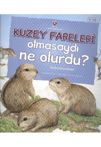 Kuzey Fareleri Olmasaydı Ne Olurdu?