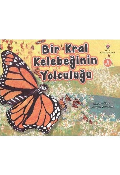 Takip Et! - Bir Kral Kelebeğinin Yolculuğu