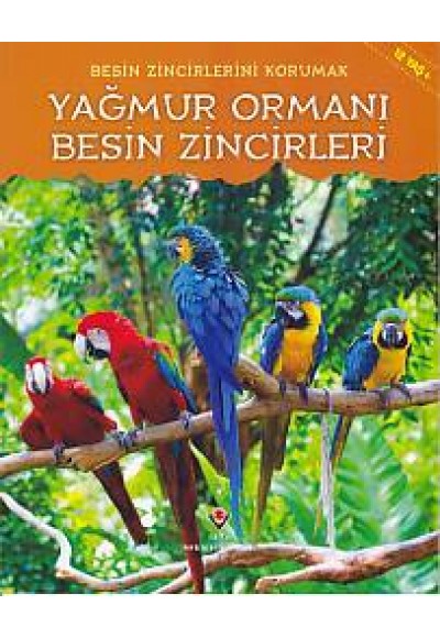 Yağmur Ormanı - Besin Zincirleri