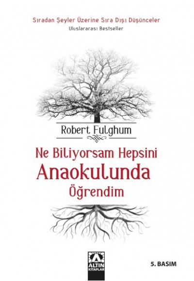 Ne Biliyorsam Hepsini Anaokulunda Öğrendim