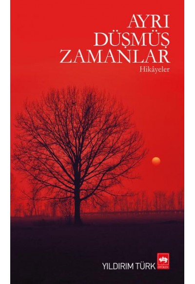 Ayrı Düşmüş Zamanlar  / Hikayeler
