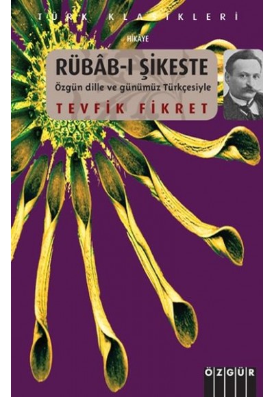 Rübab-ı Şikeste