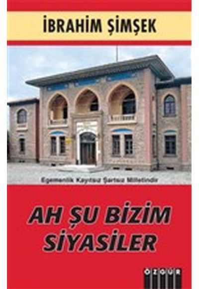 Ah Şu Bizim Siyasiler