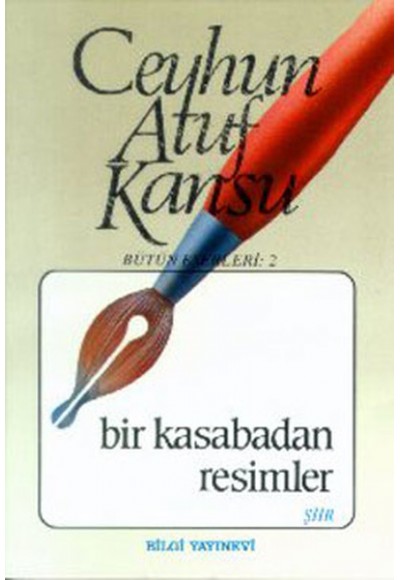 Bir Kasabadan Resimler