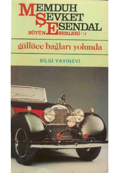 Güllüce Bağları Yolunda