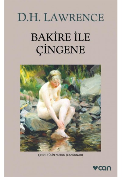 Bakire İle Çingene (Gri Kapak)