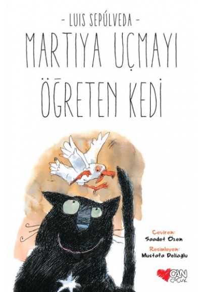Martıya Uçmayı Öğreten Kedi
