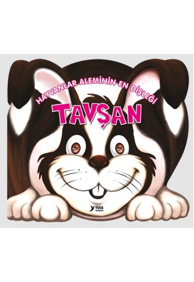 Hayvanlar Aleminin En Dişleği : Tavşan