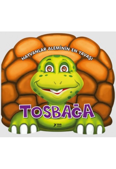 Hayvanlar Aleminin En Yavaşı : Tosbağa