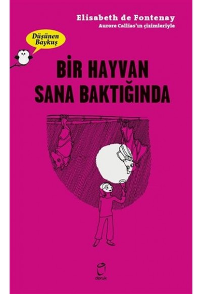 Bir Hayvan Sana Baktiğinda - Düşünen Baykuş