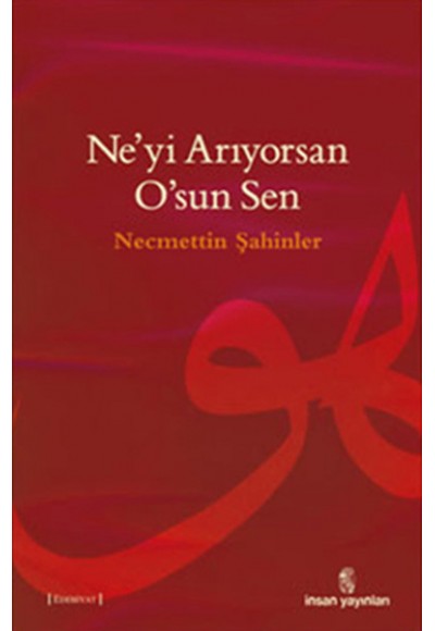 Ne'yi Arıyorsan O'sun Sen