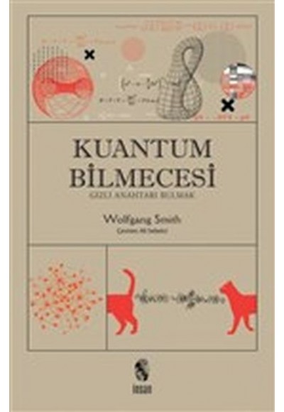 Kuantum Bilmecesi