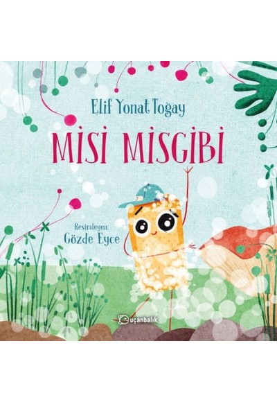 Misi Misgibi