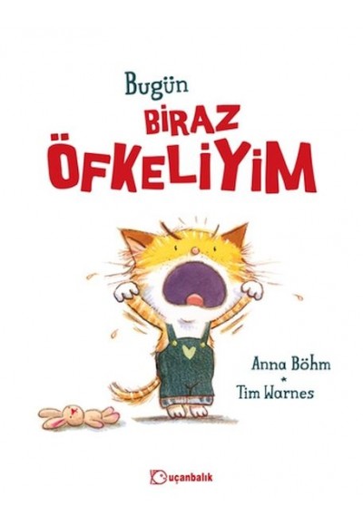 Bugün Biraz Öfkeliyim