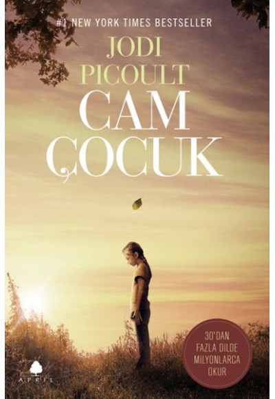 Cam Çocuk