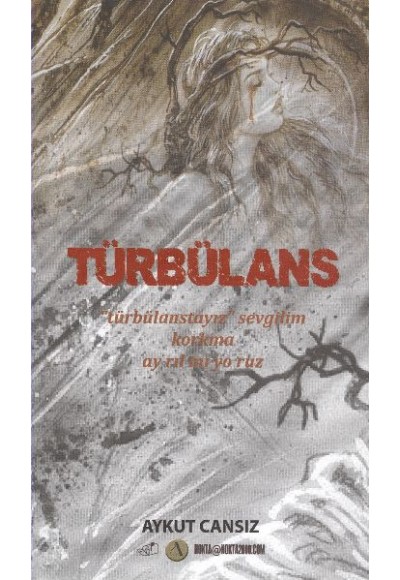 Türbülans